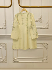 2 Piece - Embroidered Shesha Silk suit WS00388