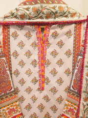 2 Piece Digital Printed Embroidered Lawn Suit S115663
