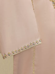 2 Piece-  Pure Embroidered Sheesha Silk Suit S111843